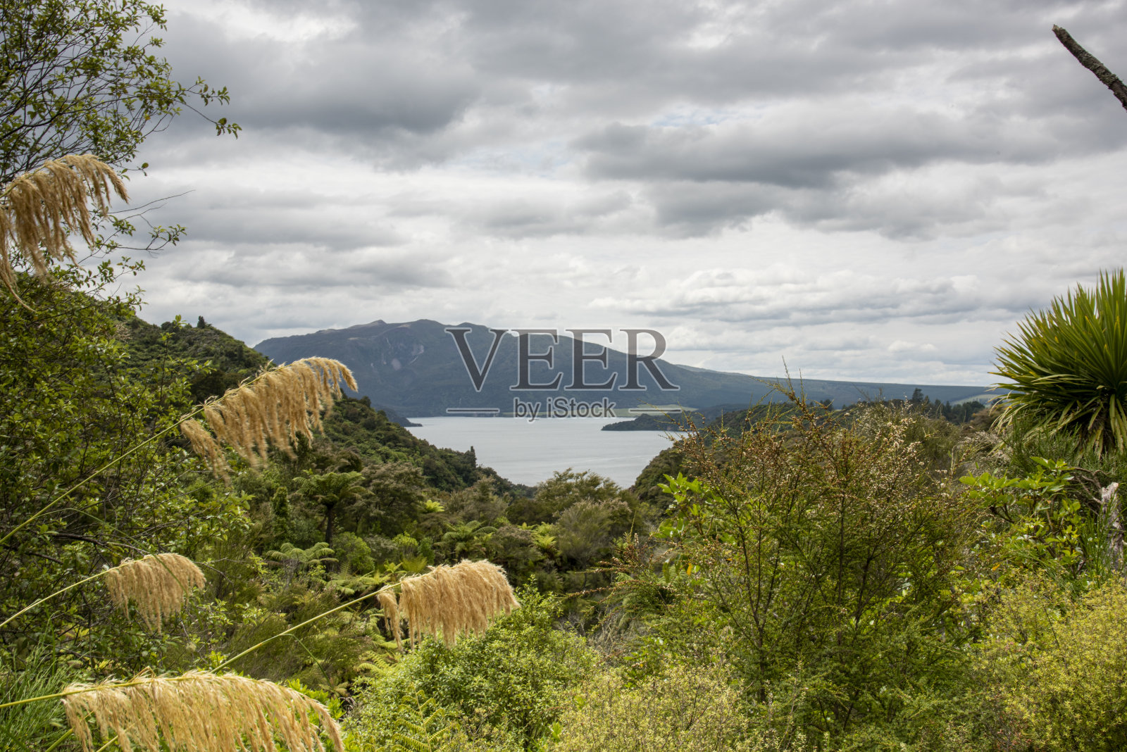 怀芒古火山谷照片摄影图片