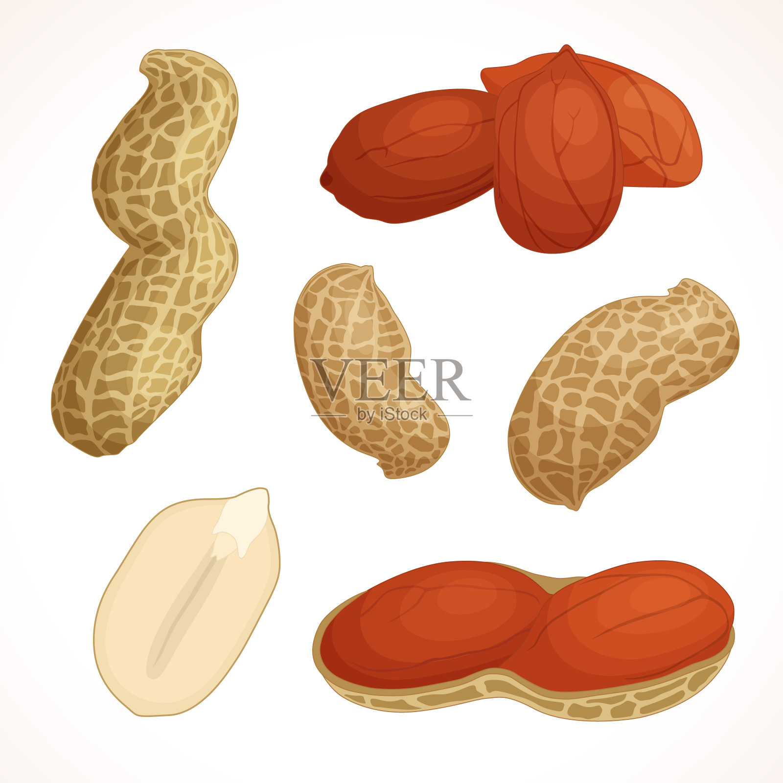 花生向量。半个和一个坚果。插画图片素材