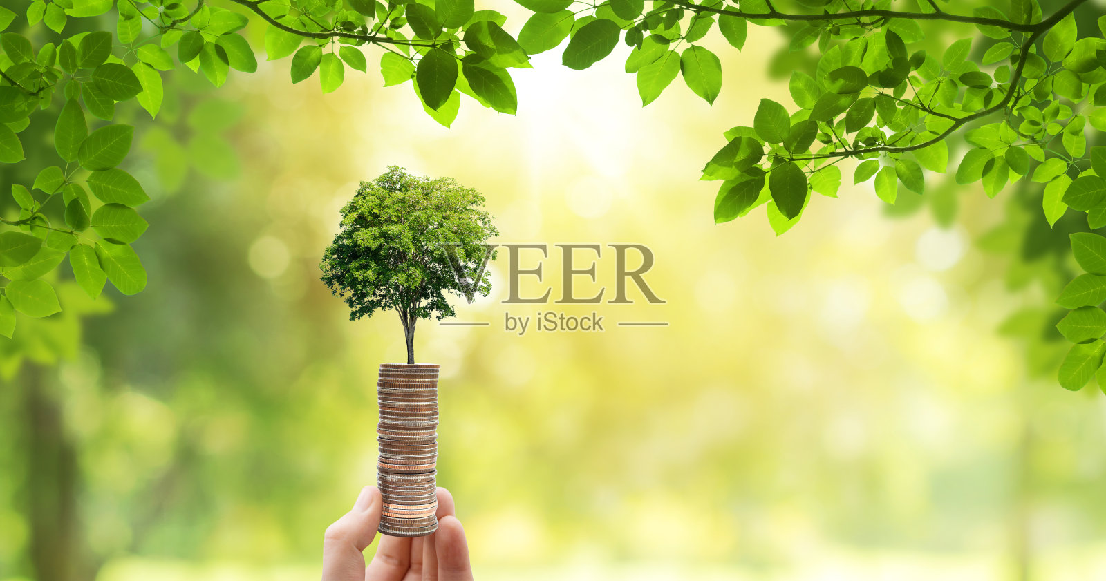 手握绿色树木生长通过堆叠银币与绿色自然的背景。照片摄影图片