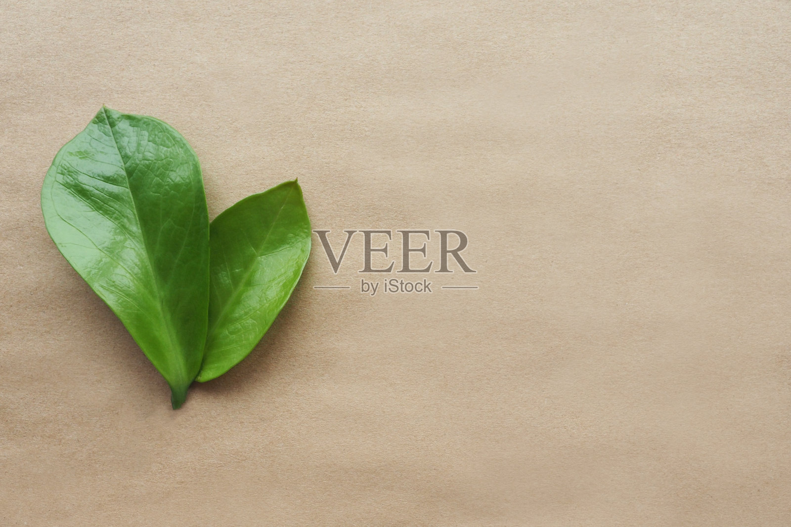 两张深绿色的光滑的大纸在牛皮纸背景上。平面布局，俯视图，文本空间。照片摄影图片