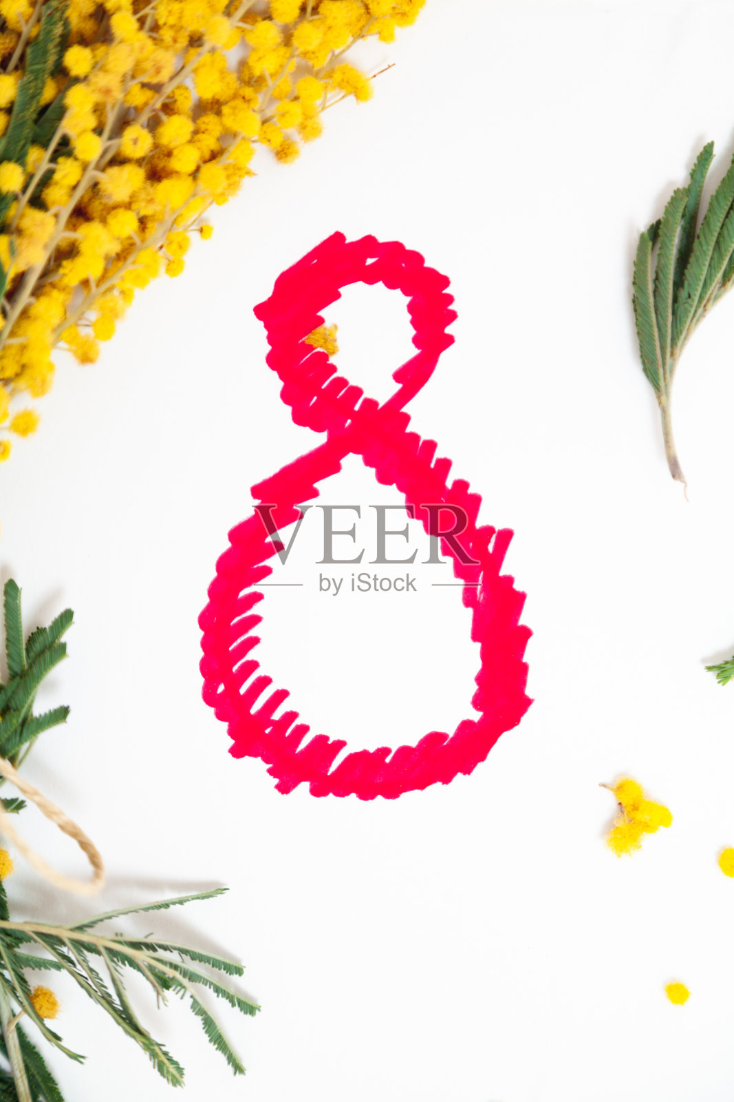 白色背景上的黄色含羞草枝。附近的红色8照片摄影图片