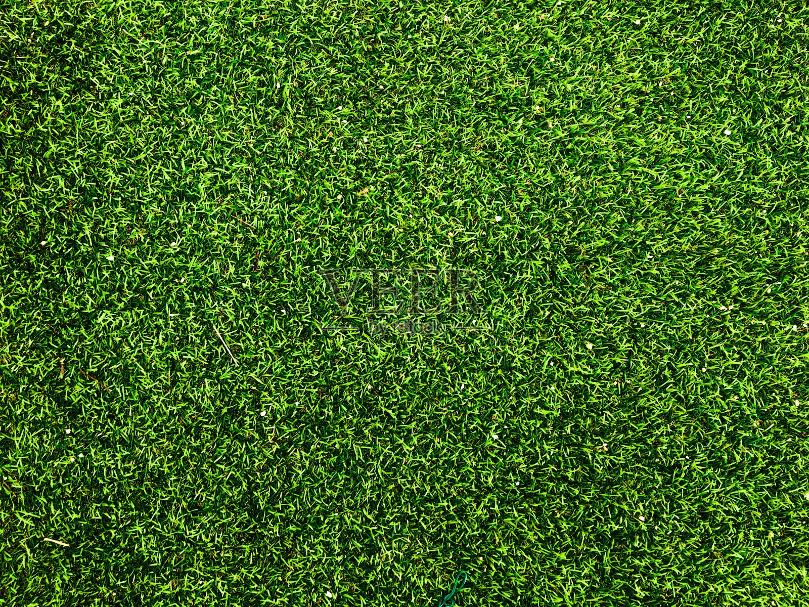 美丽的绿色草地图案从高尔夫球场为背景。复制空间的工作和设计，俯视图照片摄影图片