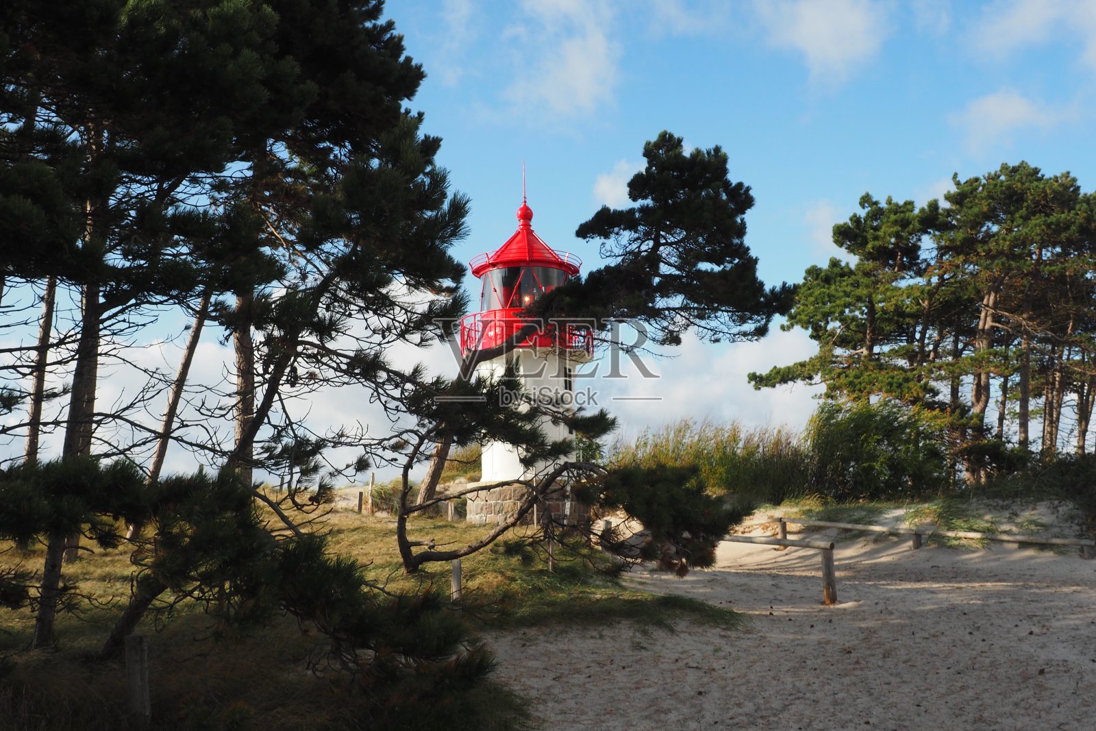 黑松后面是波罗的海格伦·冯·希登湖上最小的灯塔照片摄影图片