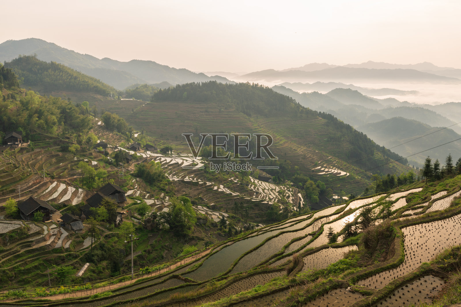 紫喜鹊梯田是中国风景区、自然文化遗产、水利风景区。照片摄影图片