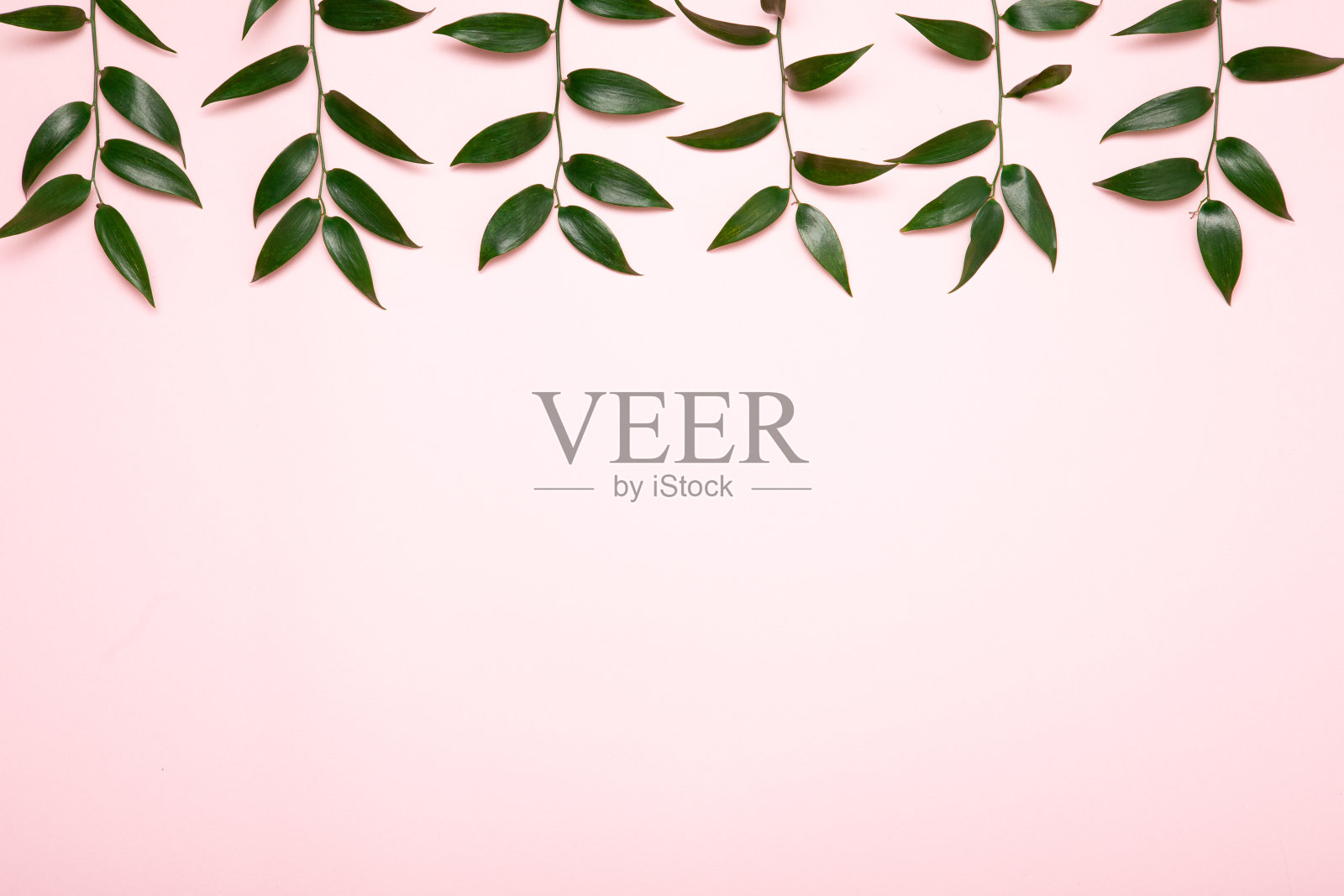 粉色背景与绿色树叶的地球母亲日扁平风概念照片摄影图片