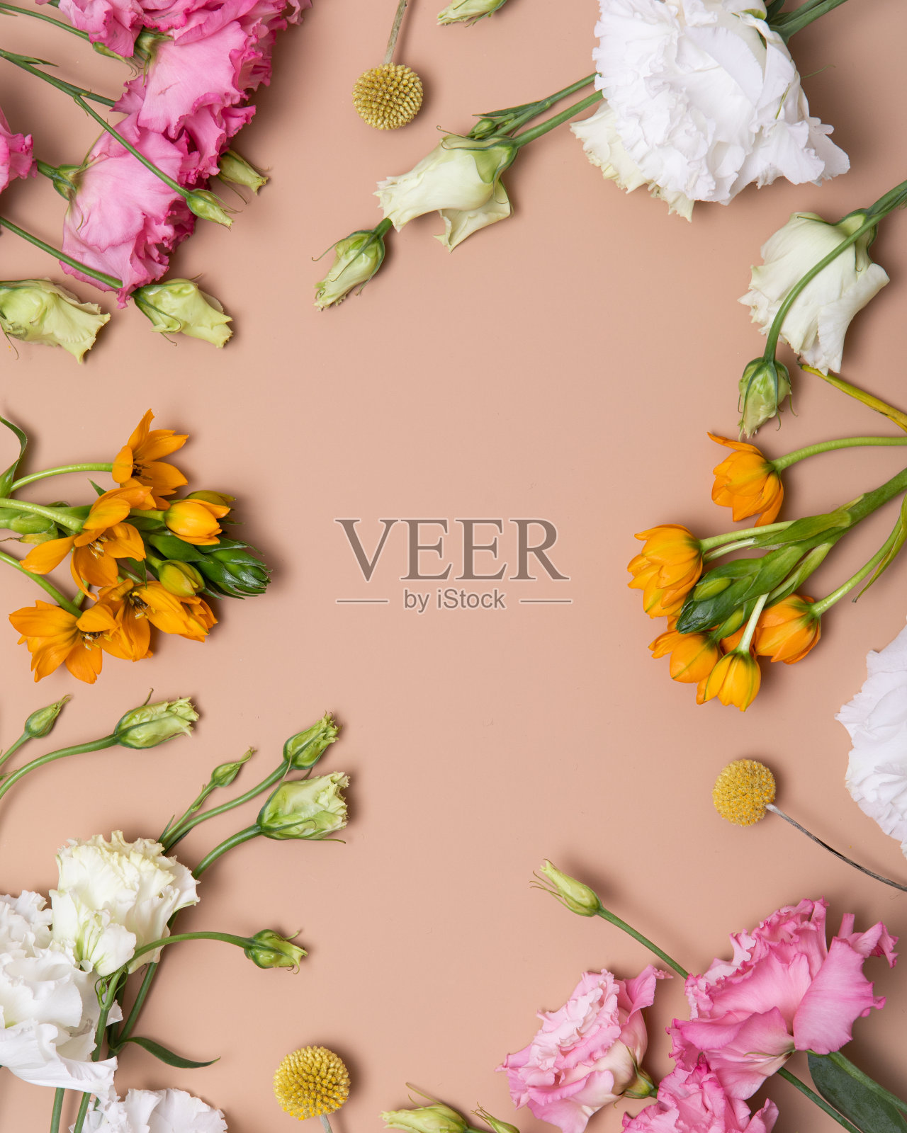 花平铺装饰设计的米色背景。简约浪漫潮人概念，模型背景。照片摄影图片