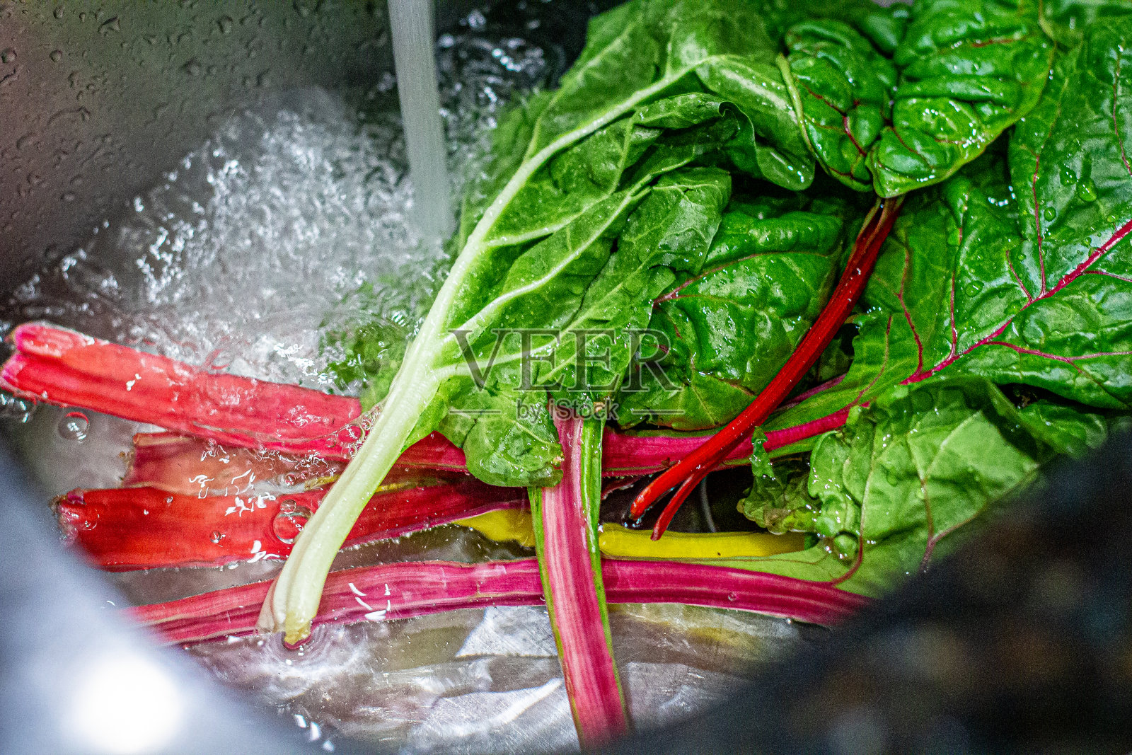 美丽的充满活力的颜色农场新鲜的瑞士甜菜，甜菜，菠菜浸泡在清洁的自来水下在厨房水槽准备烹饪健康的晚餐照片摄影图片