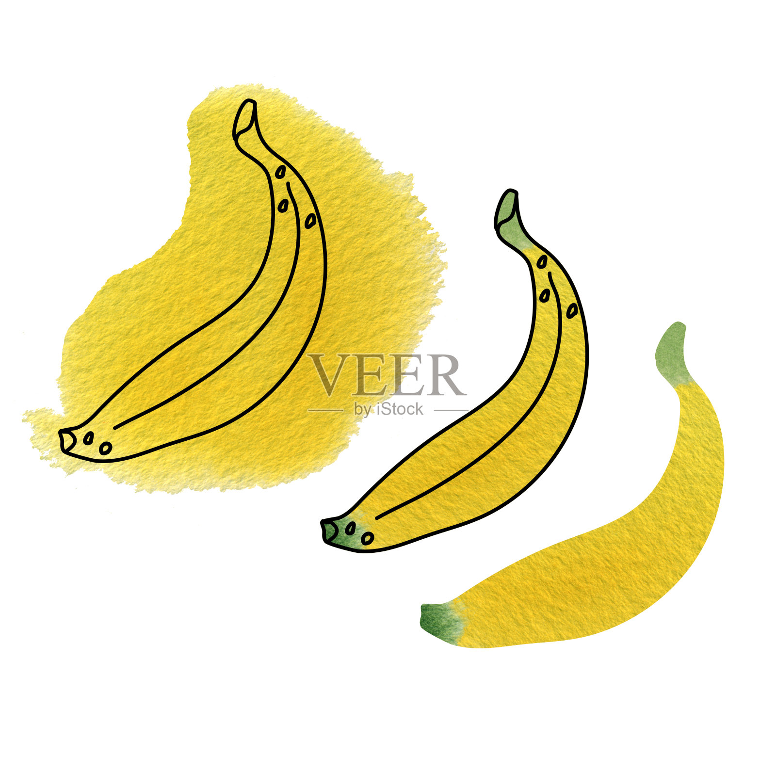 水彩香蕉在不同的风格。插画图片素材