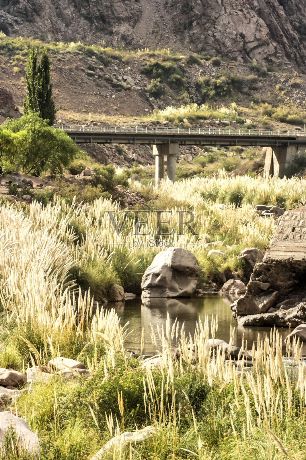 卡丘塔，在门多萨河岸，波特雷洛斯大坝下游。阿根廷门多萨。照片摄影图片