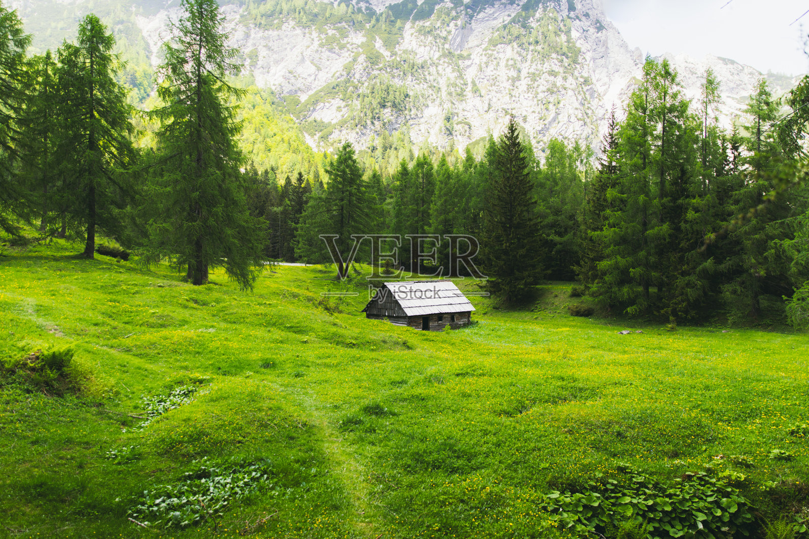 阳光明媚的日子里，朱利安阿尔卑斯山草地上的老木屋景色照片摄影图片