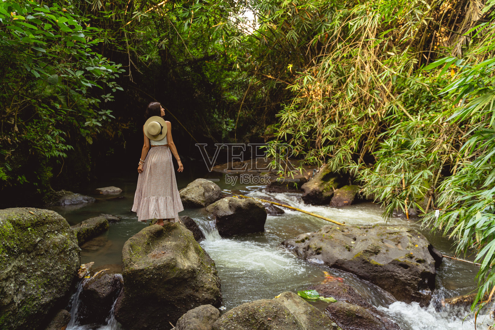 丛林河流中的女人摄影照片摄影图片