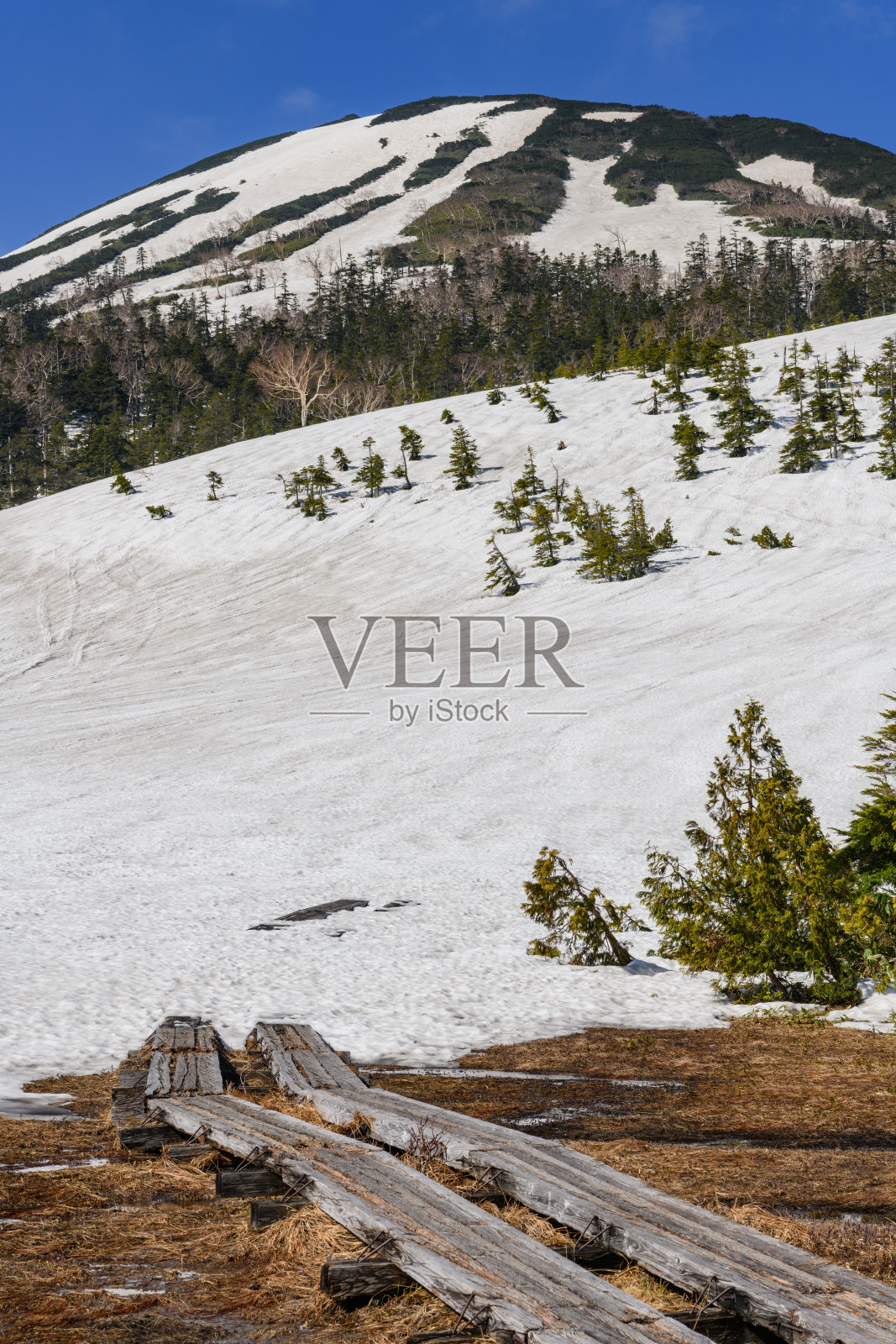 春天从熊泽渡城(Kumazawatashiro)看到的旭门武山(muuchigatake)照片摄影图片