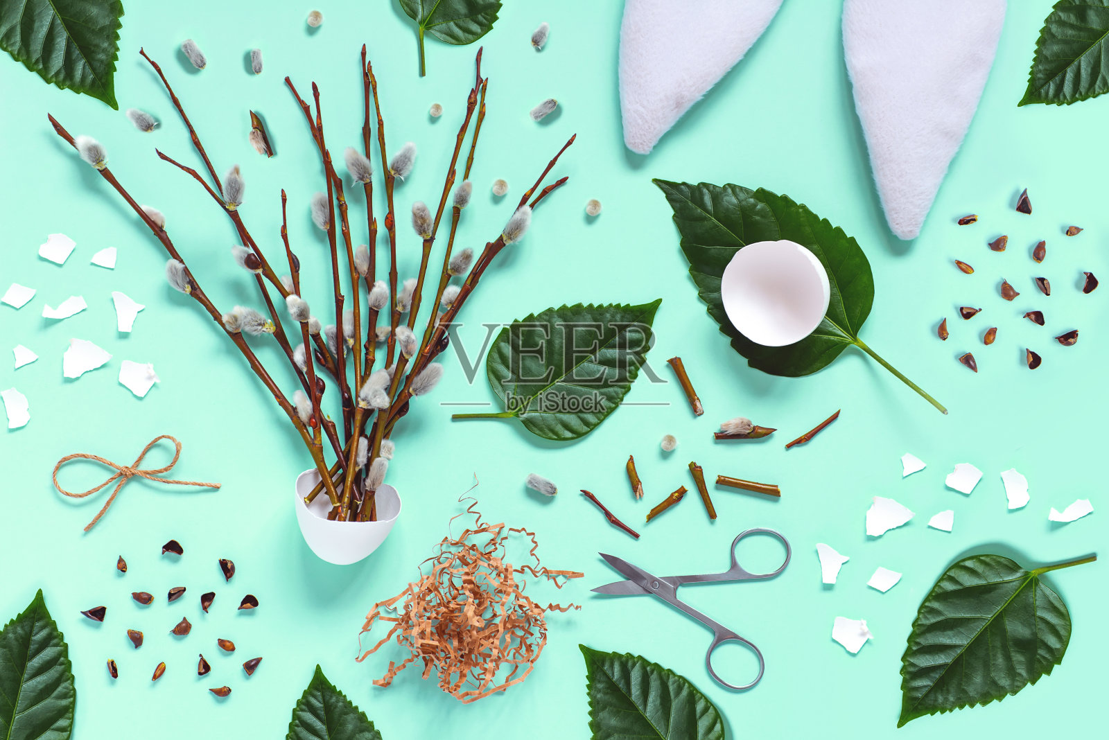 野兔的耳朵，带肾的树枝，蛋壳，绿叶，浅色背景上的剪刀。复活节春季平躺概念照片摄影图片