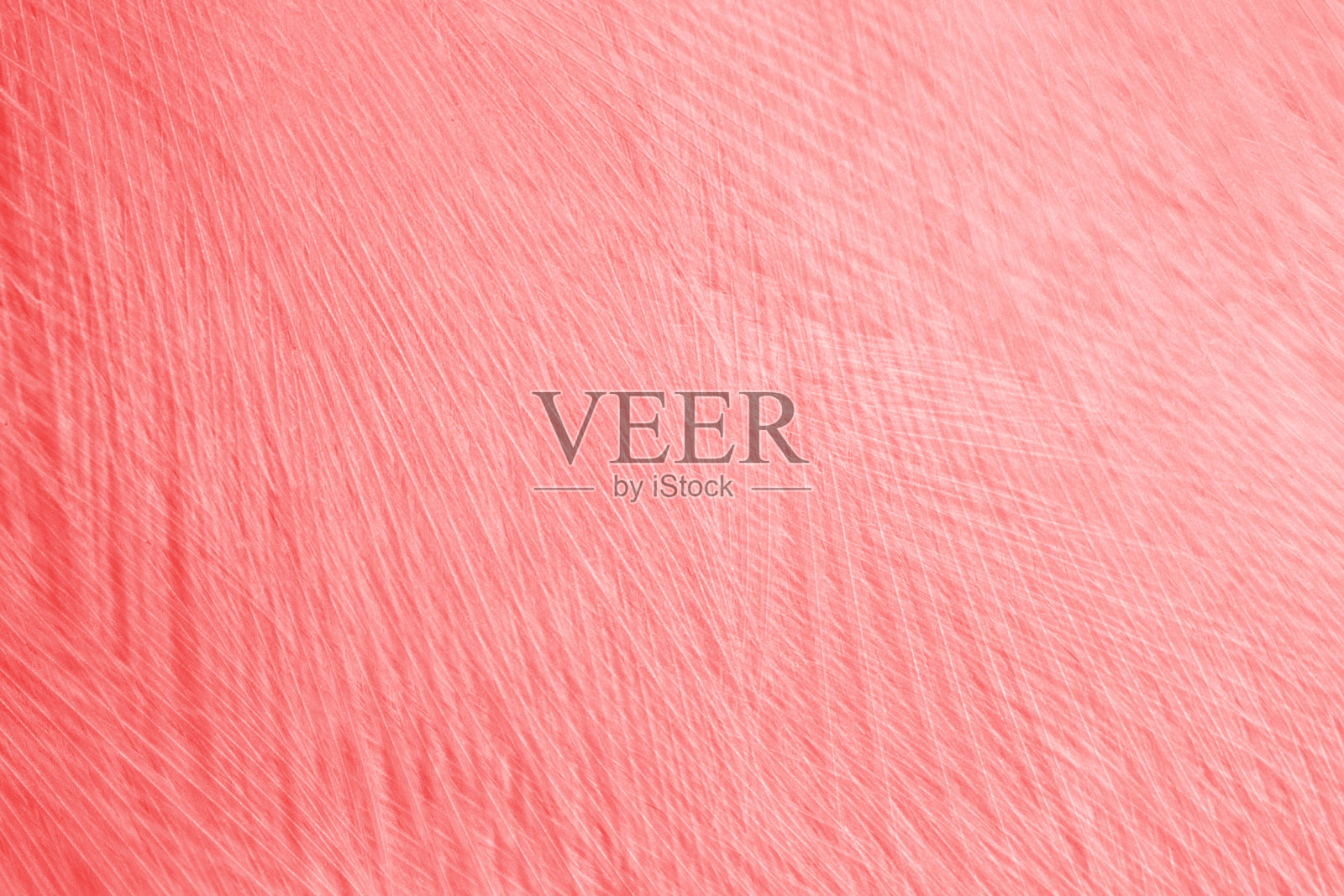 美丽的深红色栗色羽毛羊毛图案纹理背景照片摄影图片