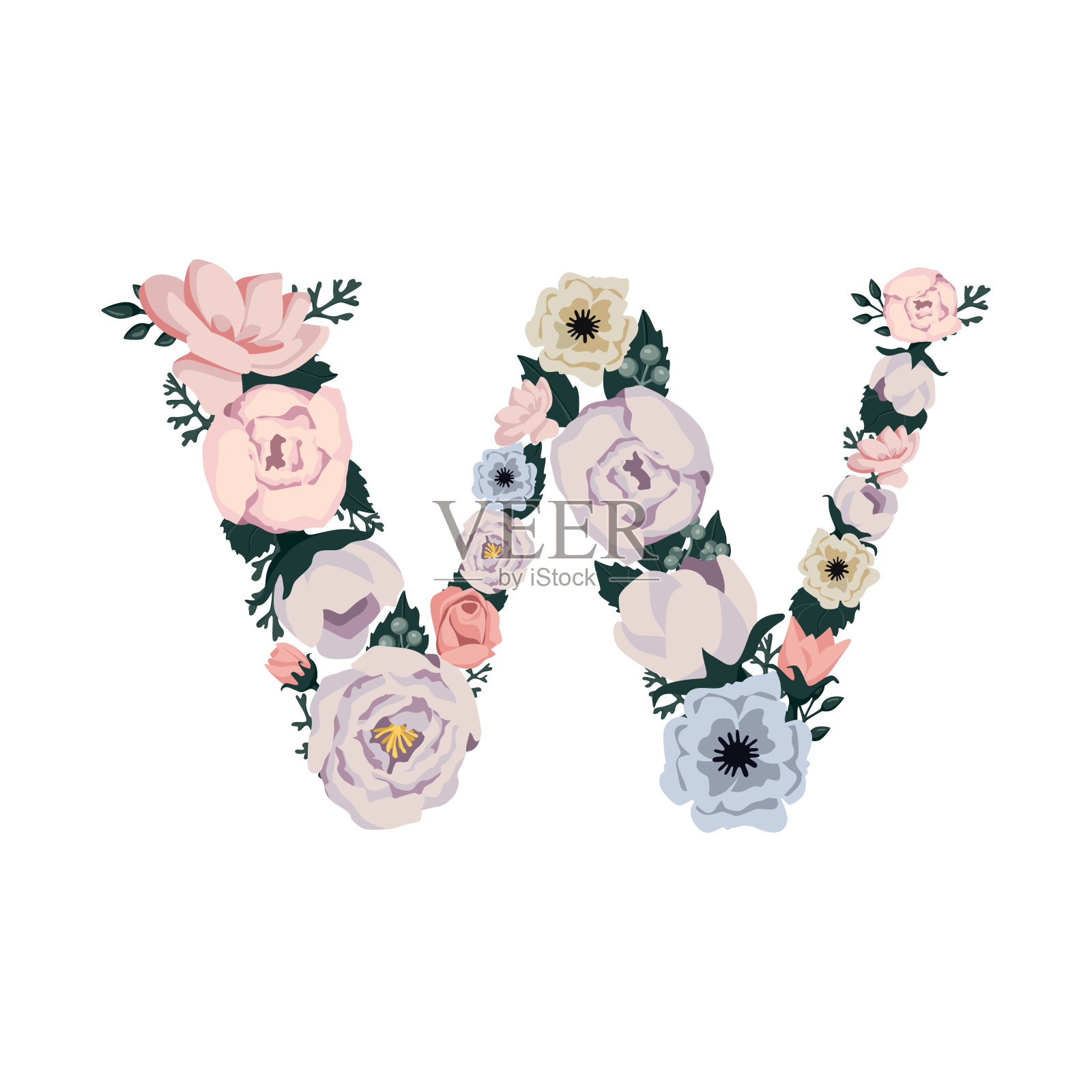 白色背景下的花朵特写镜头设计元素图片