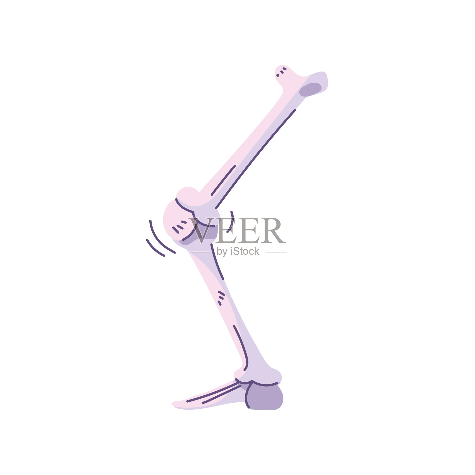 腿的骨头，身体的一部分在白色的背景上设计元素图片