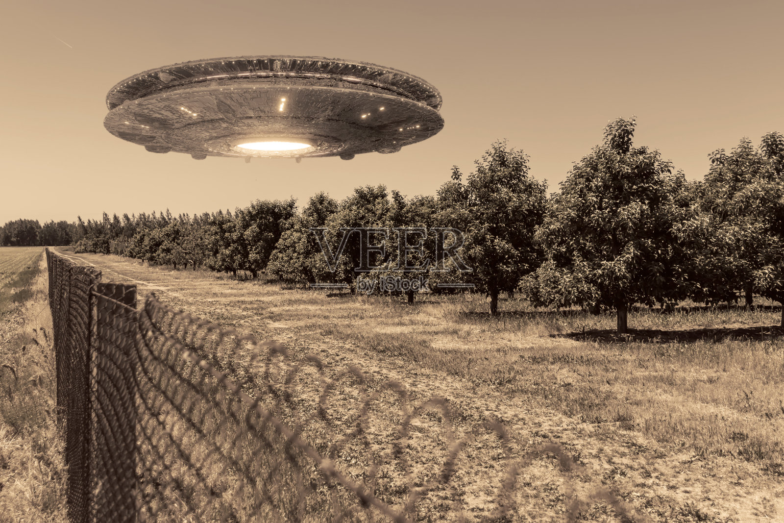 UFO，一个在田野上空盘旋的外星人盘子，静止地盘旋在空中。不明飞行物、外星人入侵、外星生命、太空旅行、类人飞船。混合介质照片摄影图片