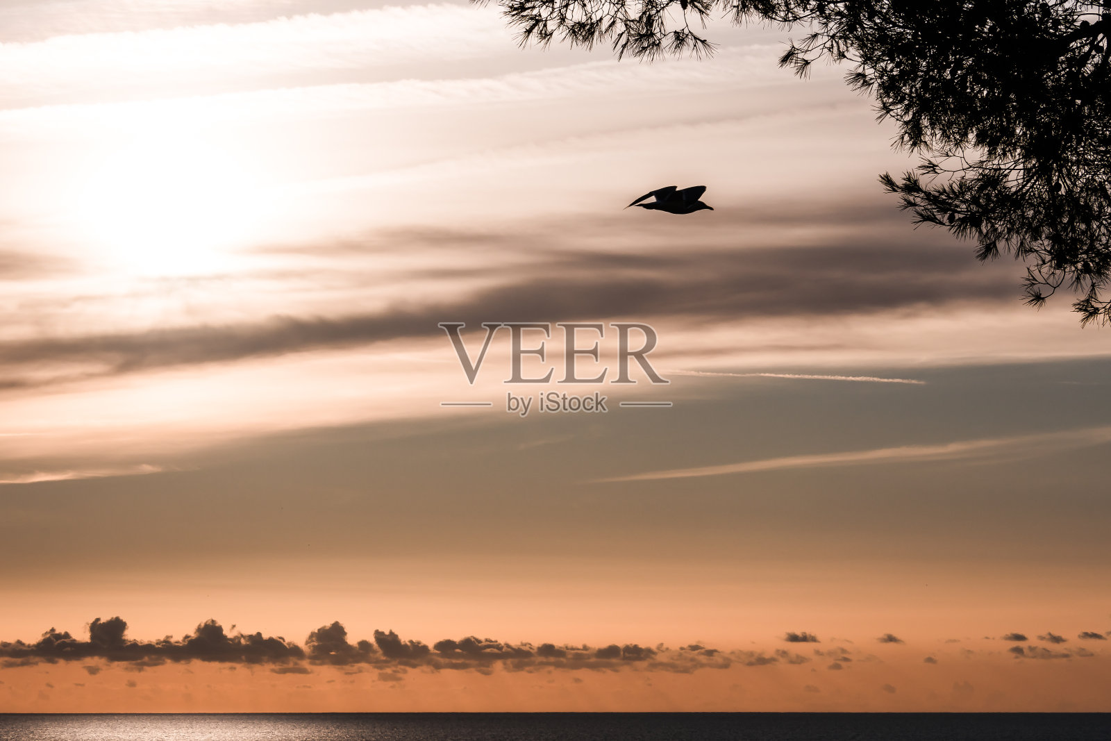 赫罗纳海岸卡普罗伊格海湾的日落照片摄影图片