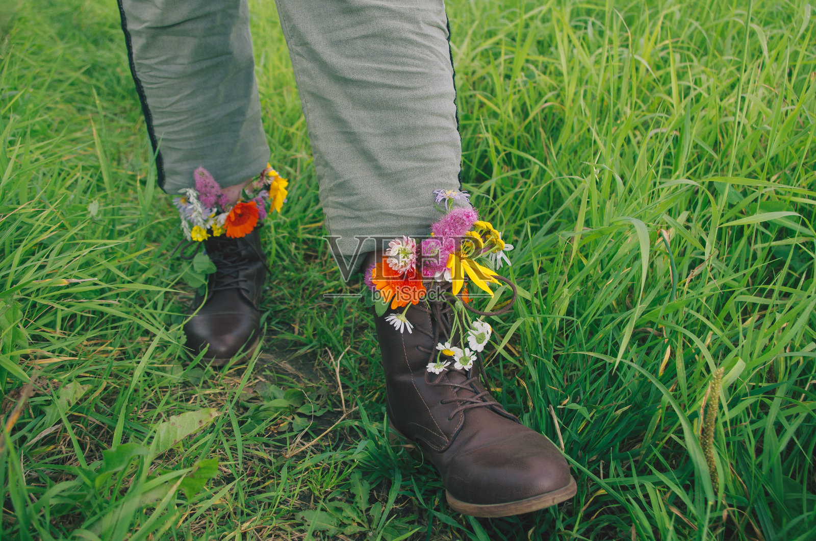 穿靴子的花照片摄影图片