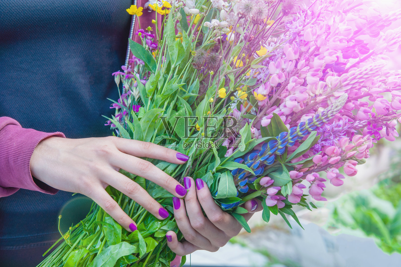那个女孩的手捧着一大束各种各样的野花在田野里。关闭了。有选择性的重点照片摄影图片