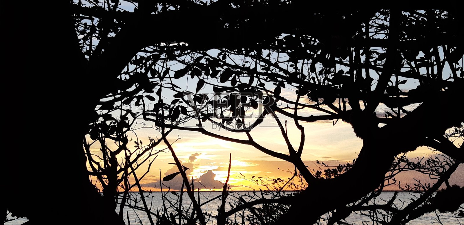 天然美女照片摄影图片