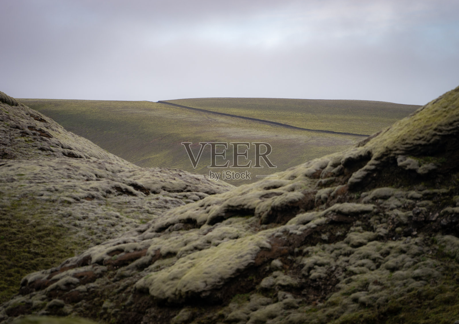 冰岛高地上覆盖着苔藓的埃尔杰加峡谷照片摄影图片