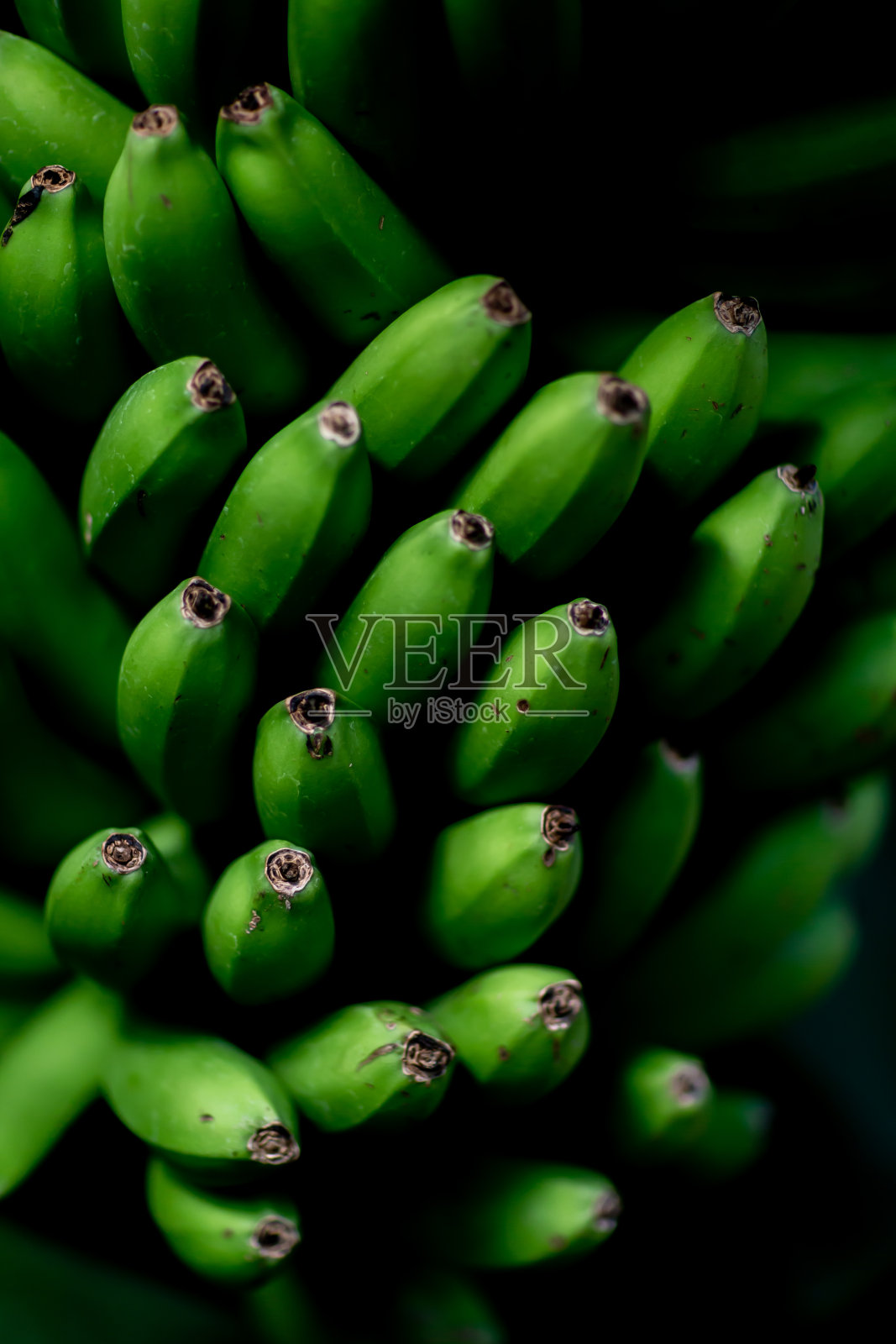 香蕉照片摄影图片