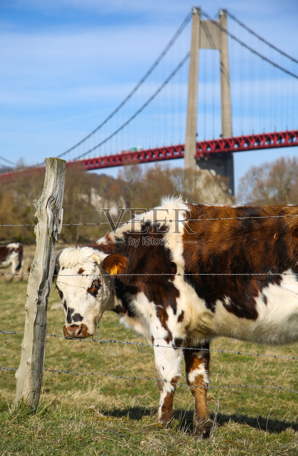 风景的诺曼底照片摄影图片