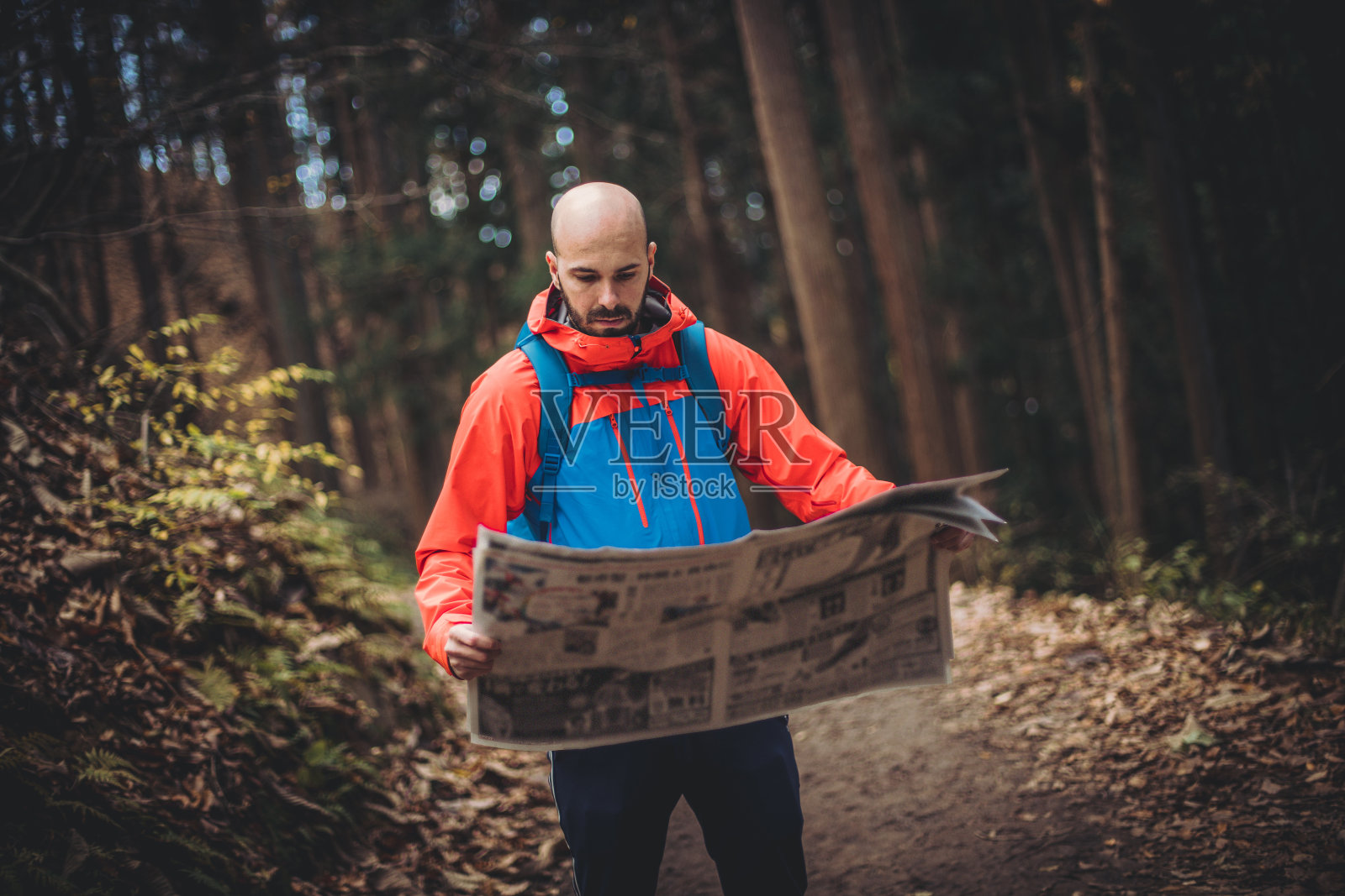 男子在日本森林中徒步照片摄影图片