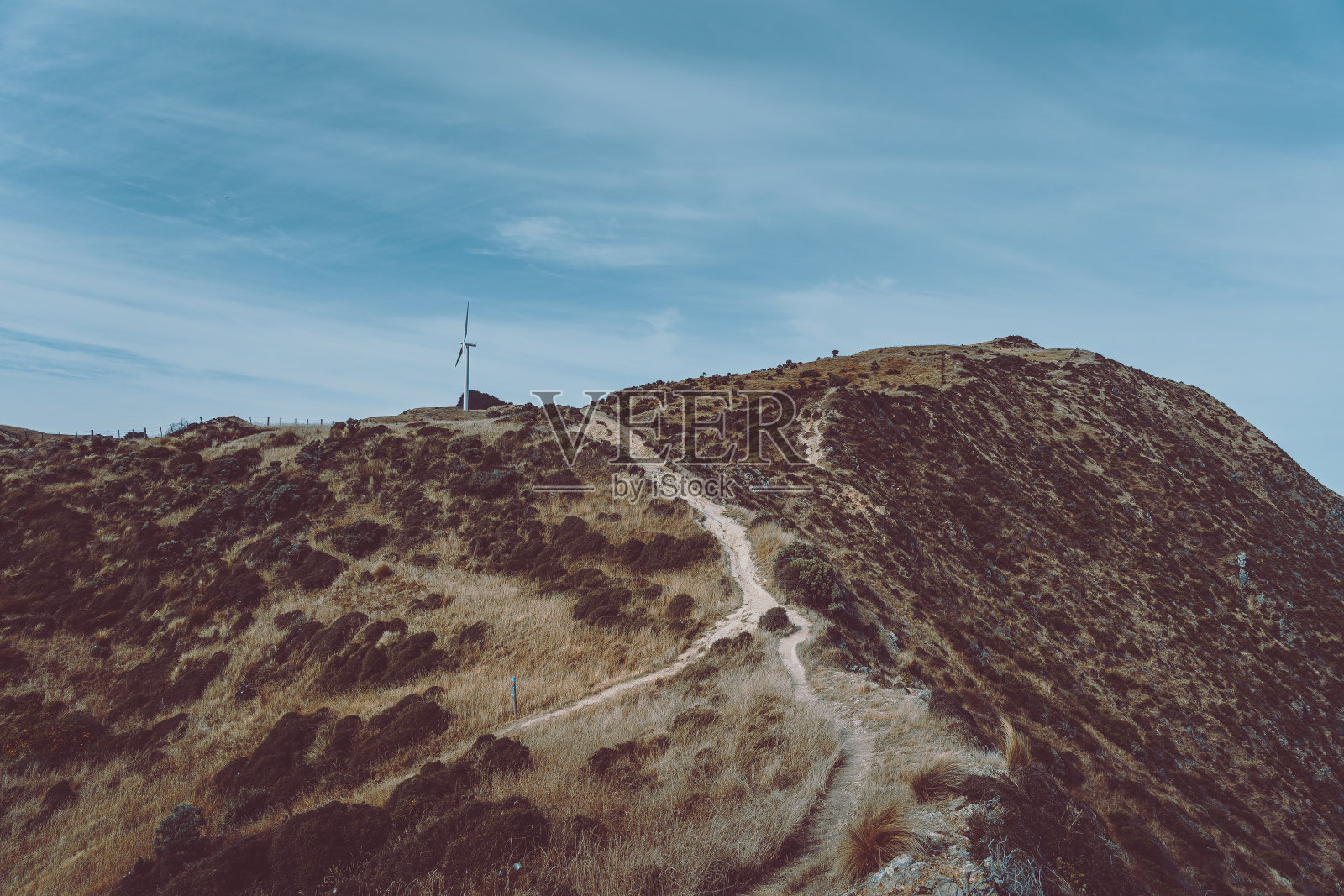 风景与风力涡轮机农场在惠灵顿照片摄影图片