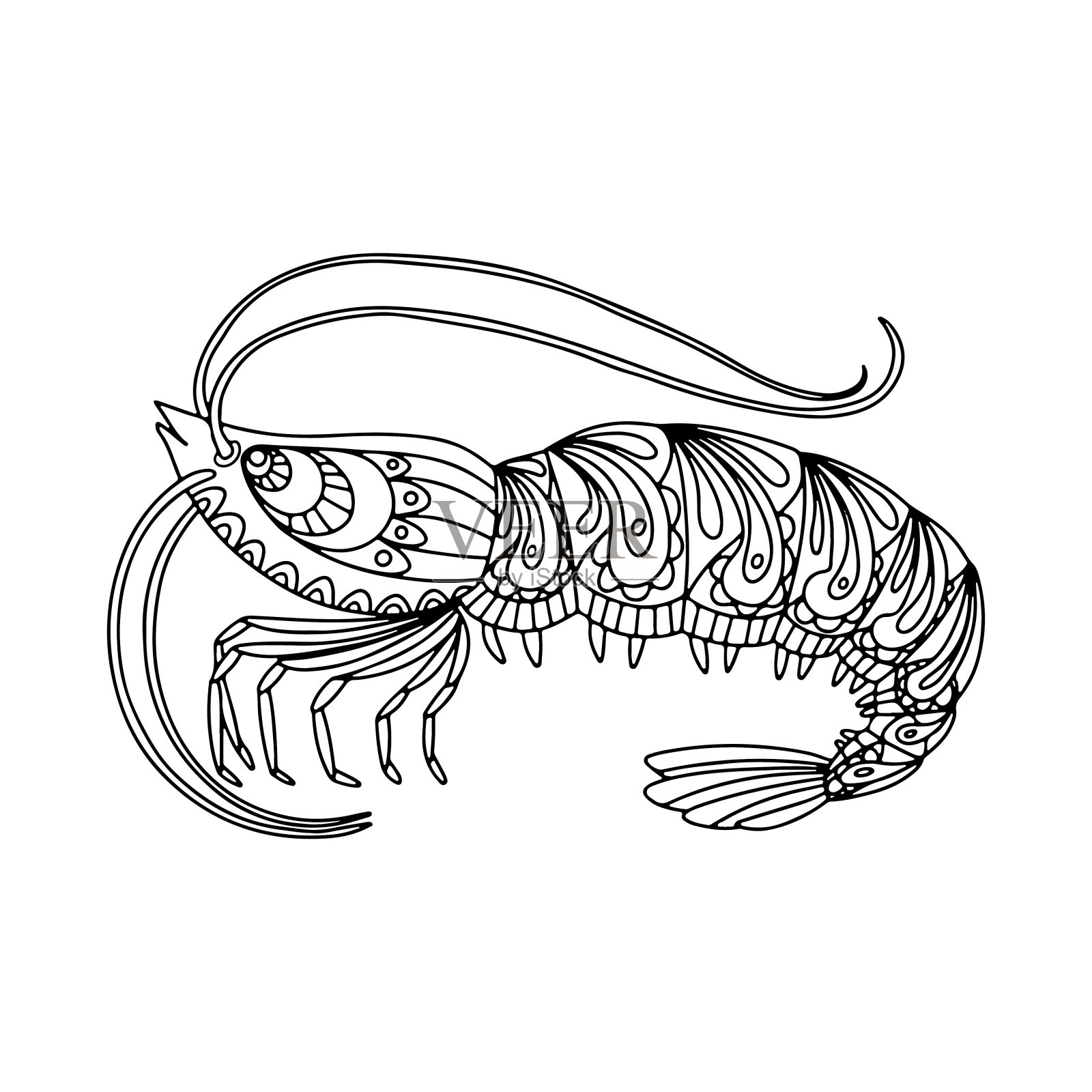 手绘虾涂鸦装饰黑色矢量插图孤立在白色背景。海洋动物素描。插画图片素材