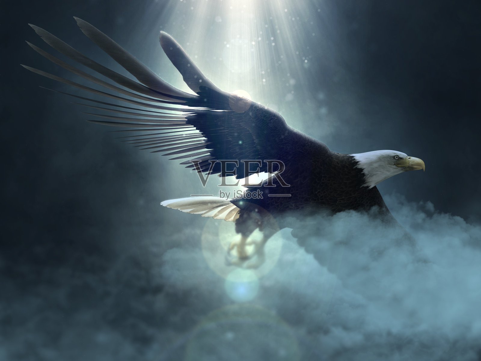 秃鹰飞过云的3d插图照片摄影图片