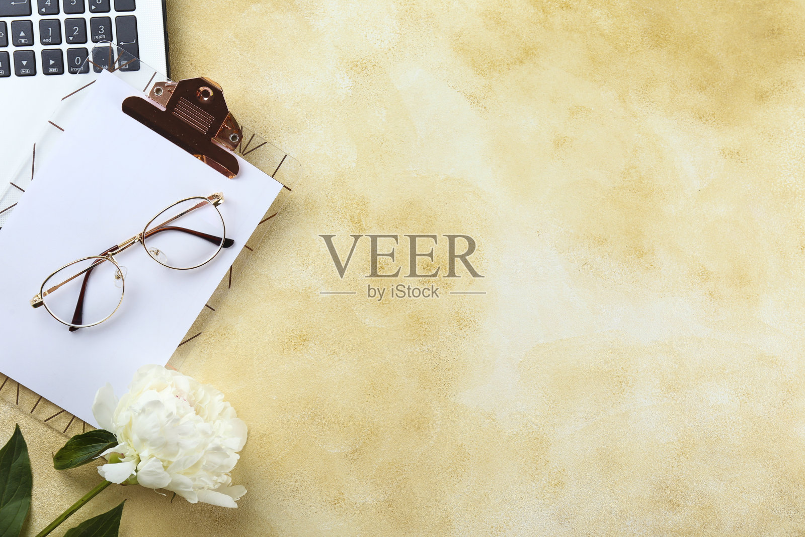 华丽的牡丹花卉组合，带有文字复制空间照片摄影图片