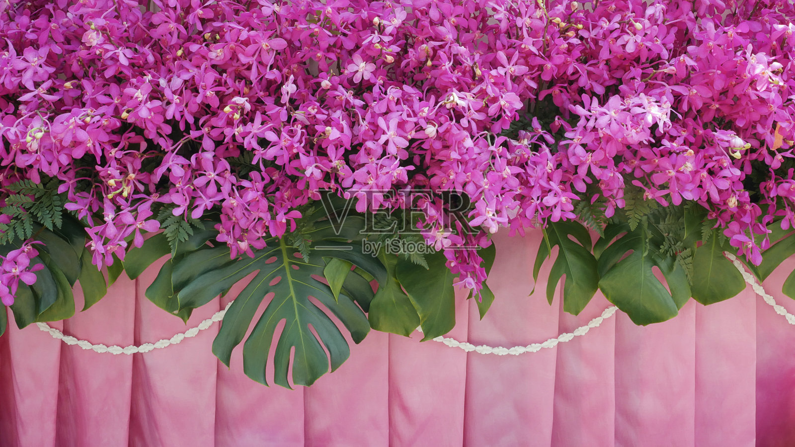 美丽的自然背景的热带花，粉红色的紫色兰花和热带叶植物Monstera和绿色的叶子蕨类，在粉红色的褶皱织物背景装饰着白色的花环。照片摄影图片