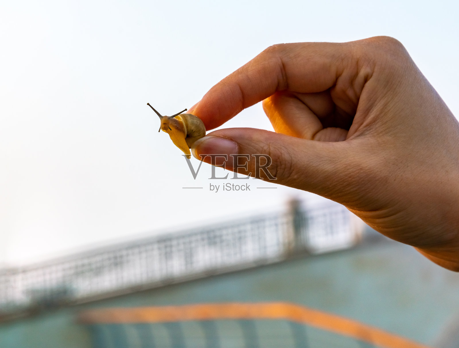 女孩手握蜗牛照片摄影图片