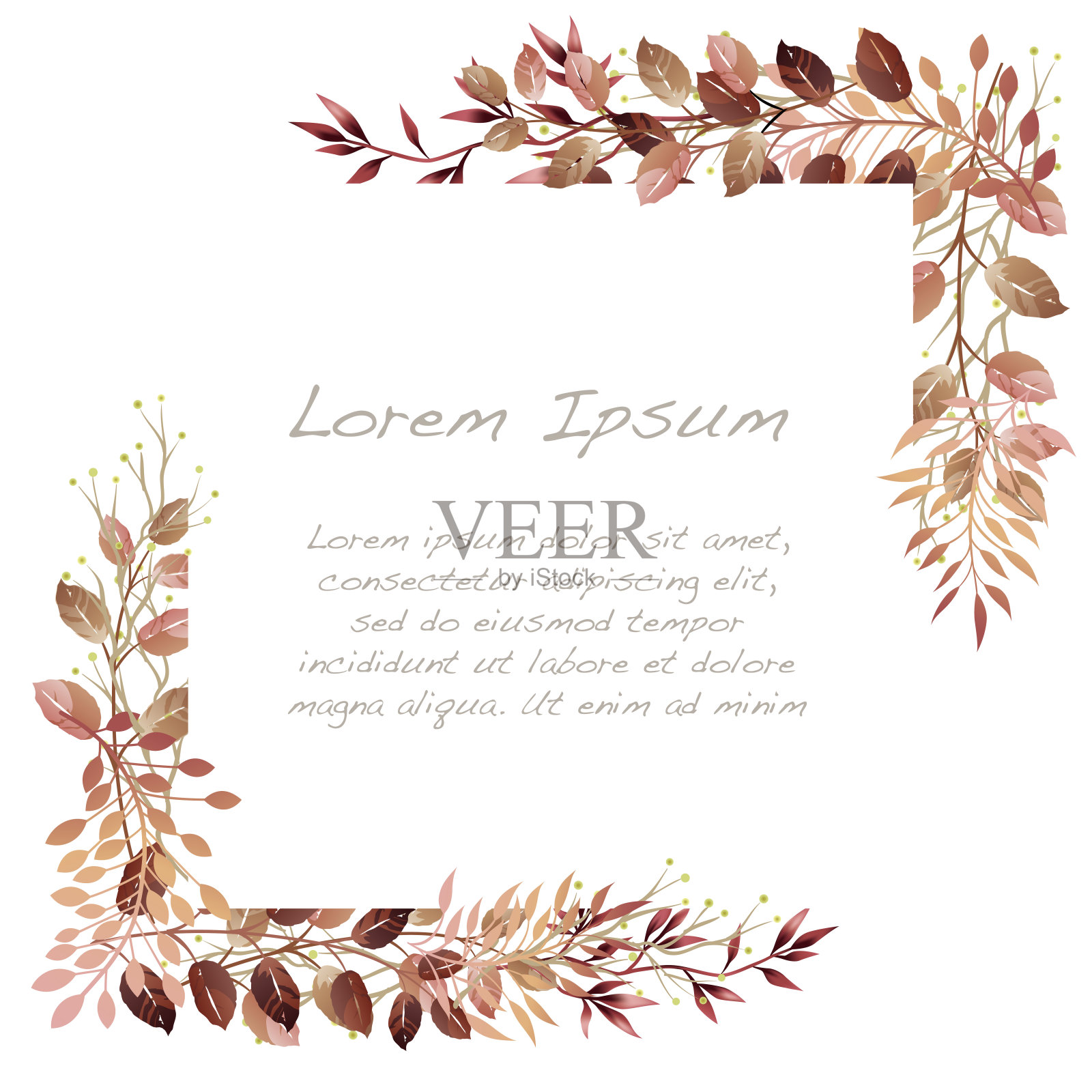 矢量水彩植物方形框架孤立在一个白色的背景。插画图片素材