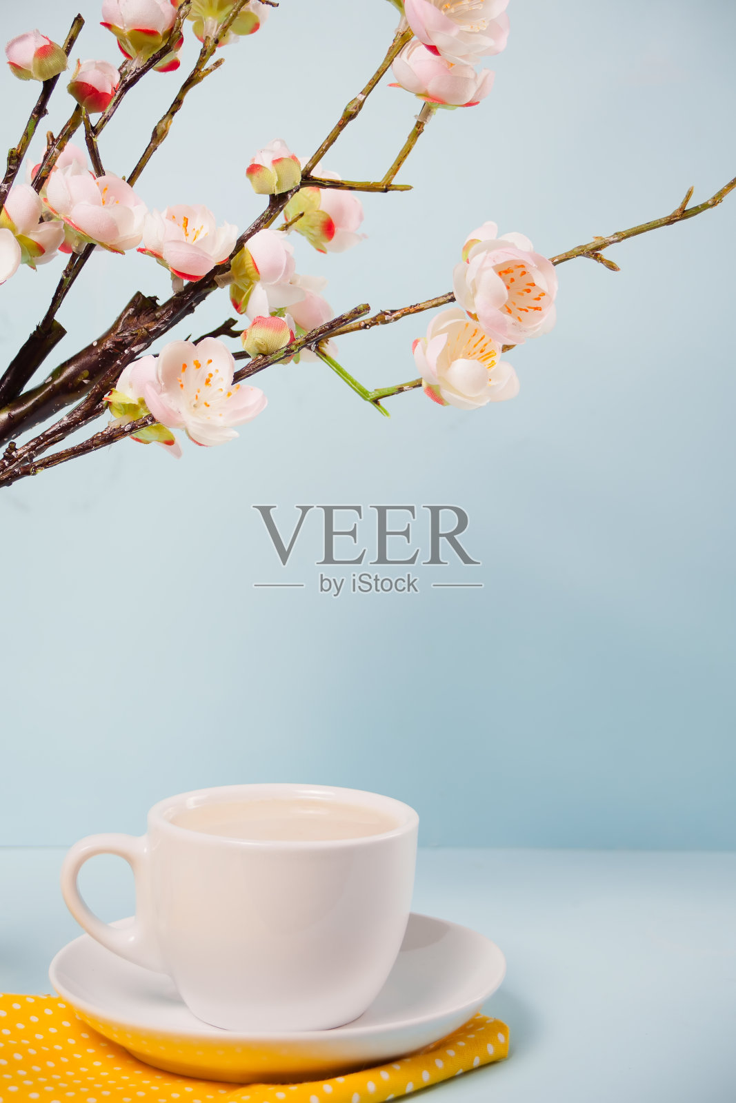 一杯茶和盛开的樱花在蓝色的背景樱花。春天的概念。本空间照片摄影图片