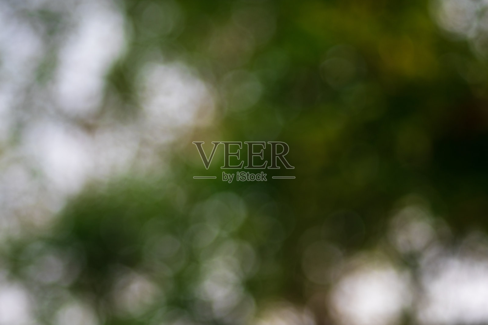 散景在自然中，模糊背景，树叶在自然花园中照片摄影图片