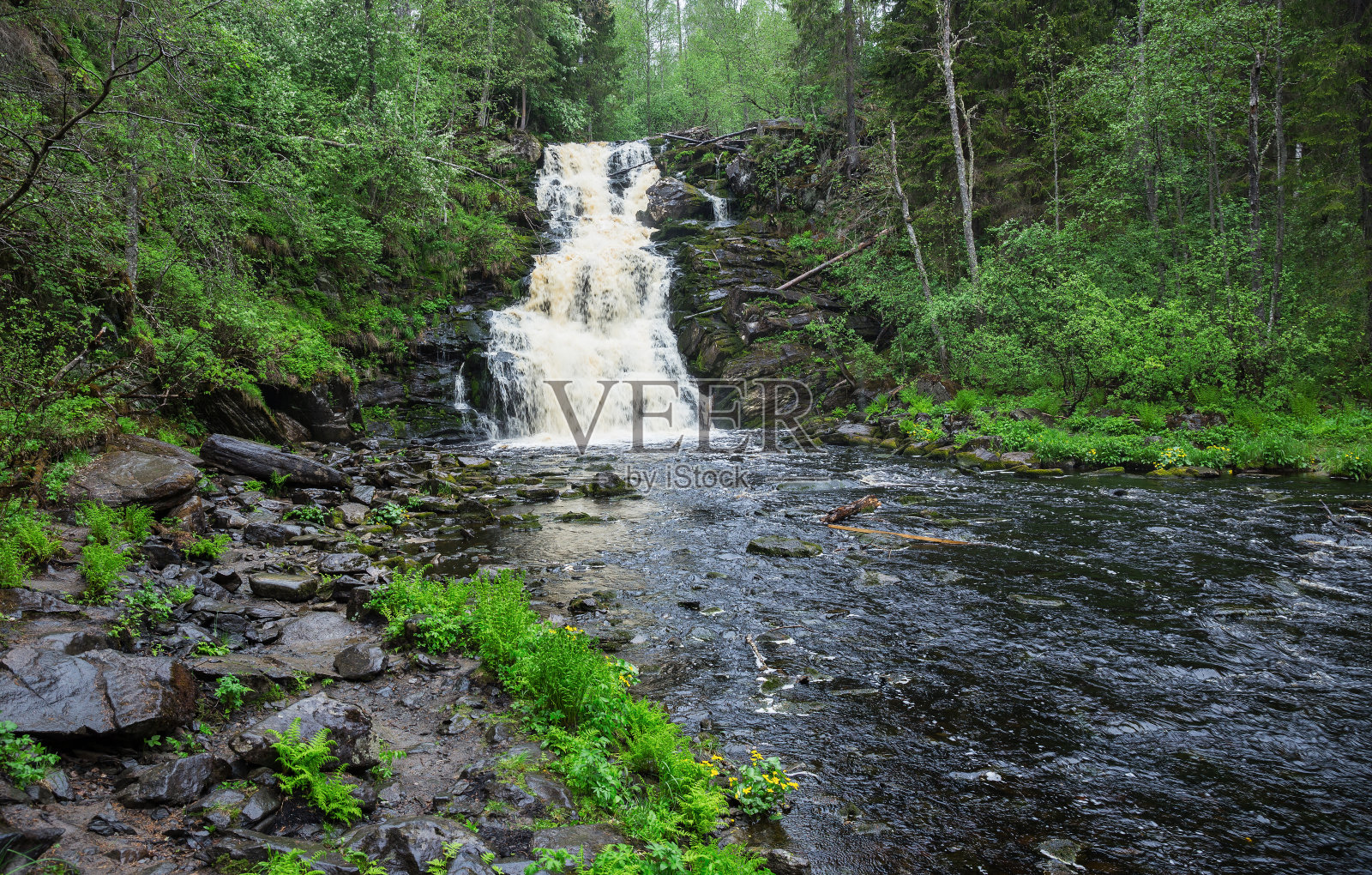 卡累利阿森林中的瀑布风景如画照片摄影图片