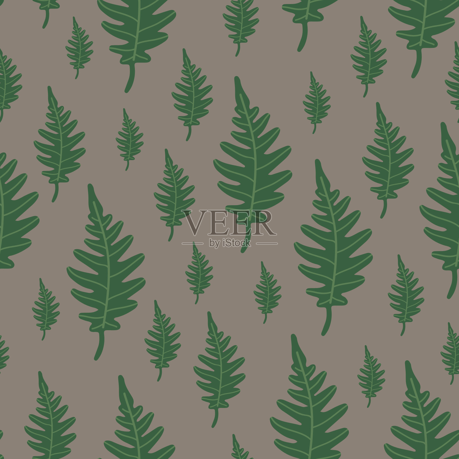 褐色背景上的蕨类图案插画图片素材