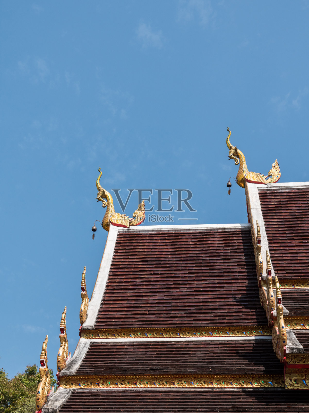 教堂屋顶屋檐上的金象雕塑。照片摄影图片