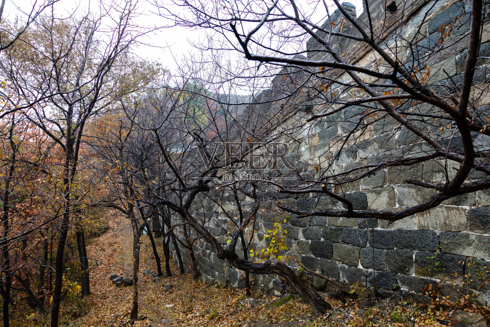 秋天在中国的长城照片摄影图片