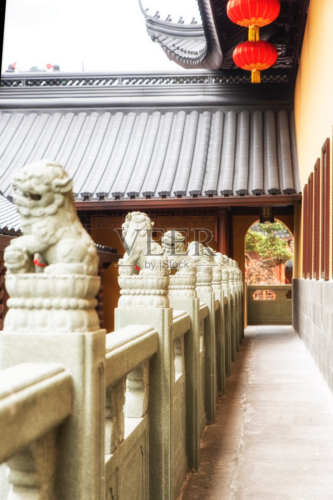 上海玉佛寺的石狮子照片摄影图片