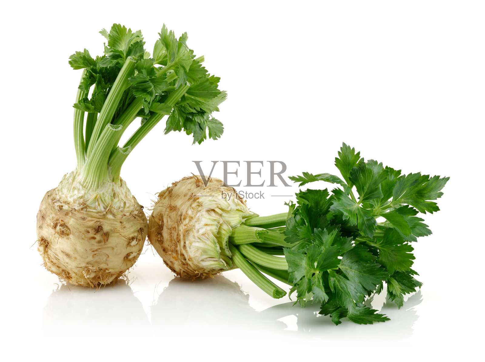 新鲜块根芹，叶分离照片摄影图片