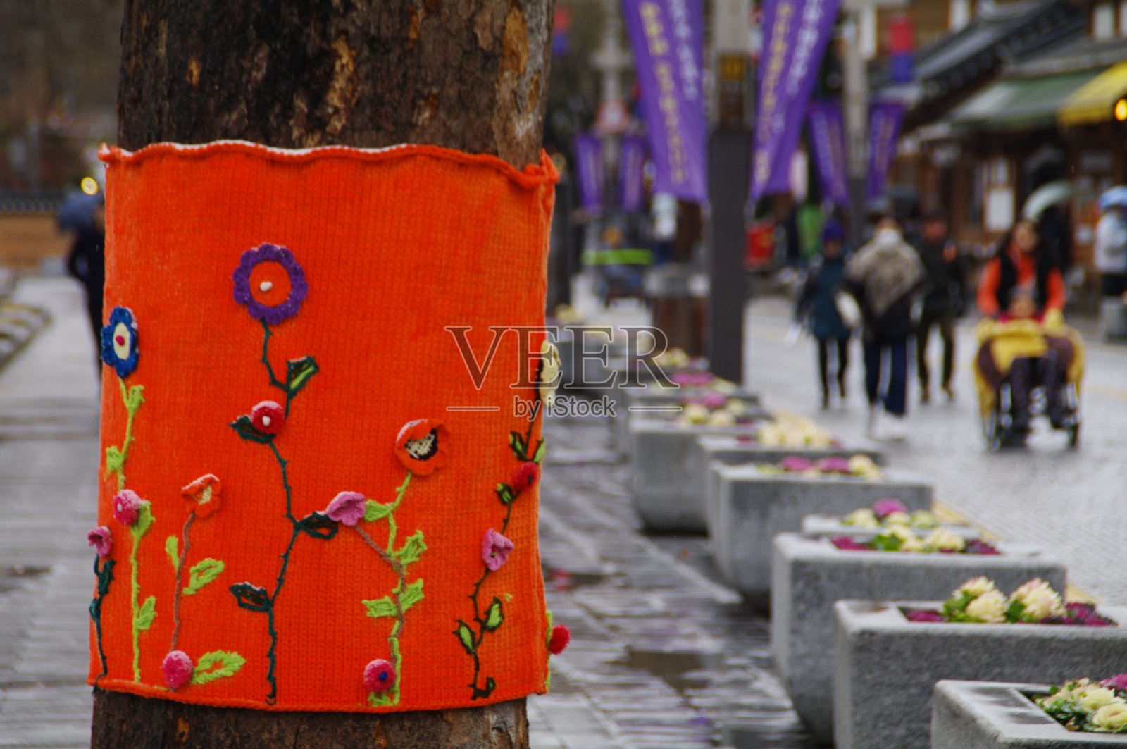 在韩国全州树上度过“没关系”冬天的温馨留言照片摄影图片