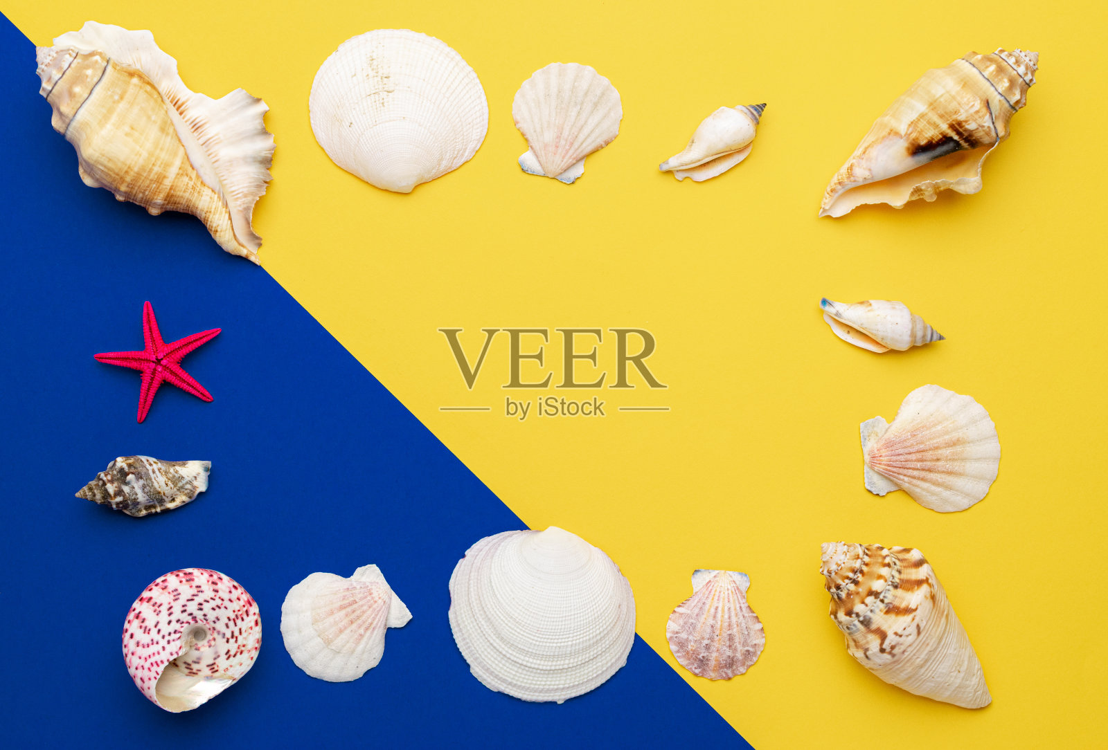 贝壳，红色海星孤立在蓝色，黄色背景与空白文字。顶视图旅游或度假概念。夏天的背景。平躺，俯视图照片摄影图片