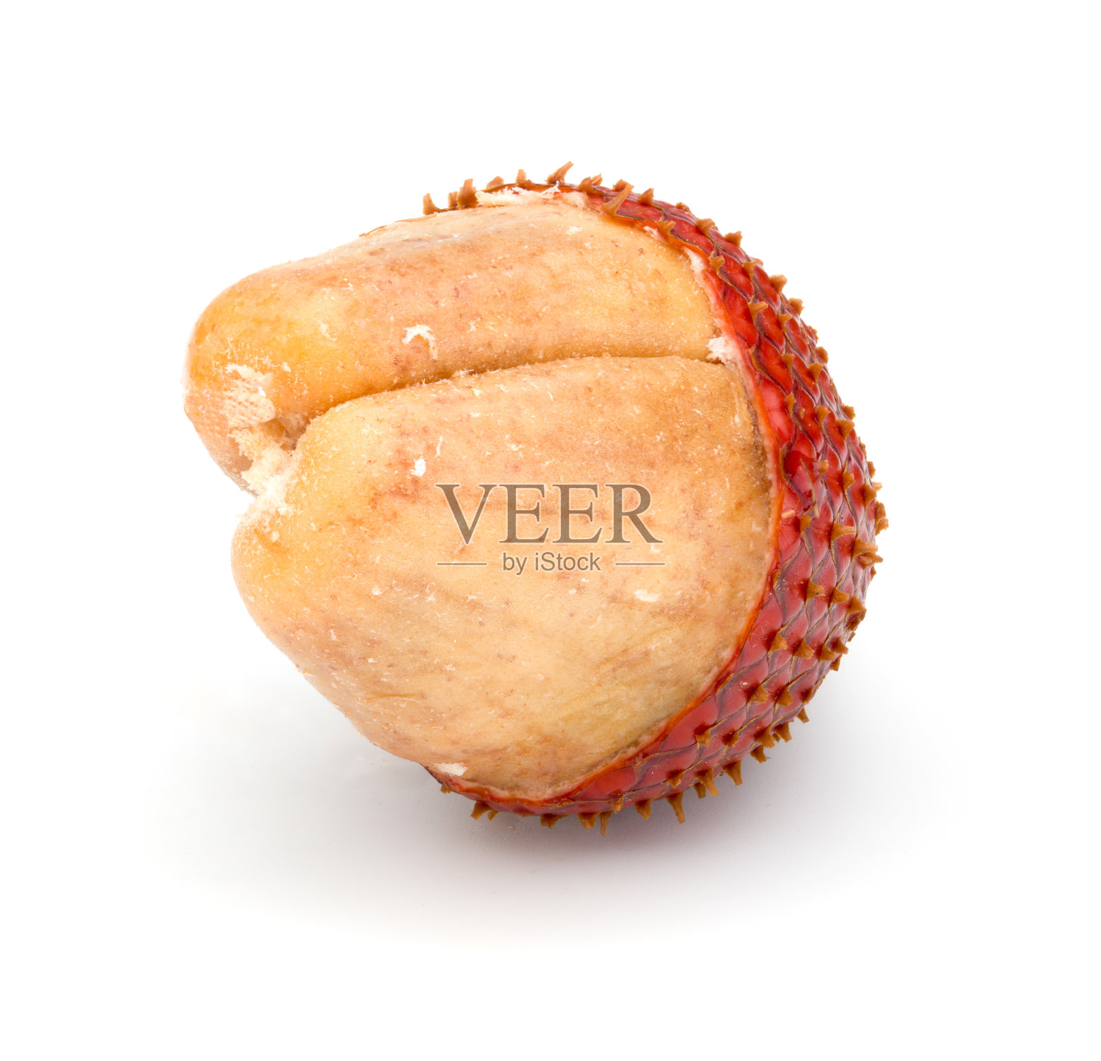 萨拉卡被隔离在白色的剪切路径上。照片摄影图片