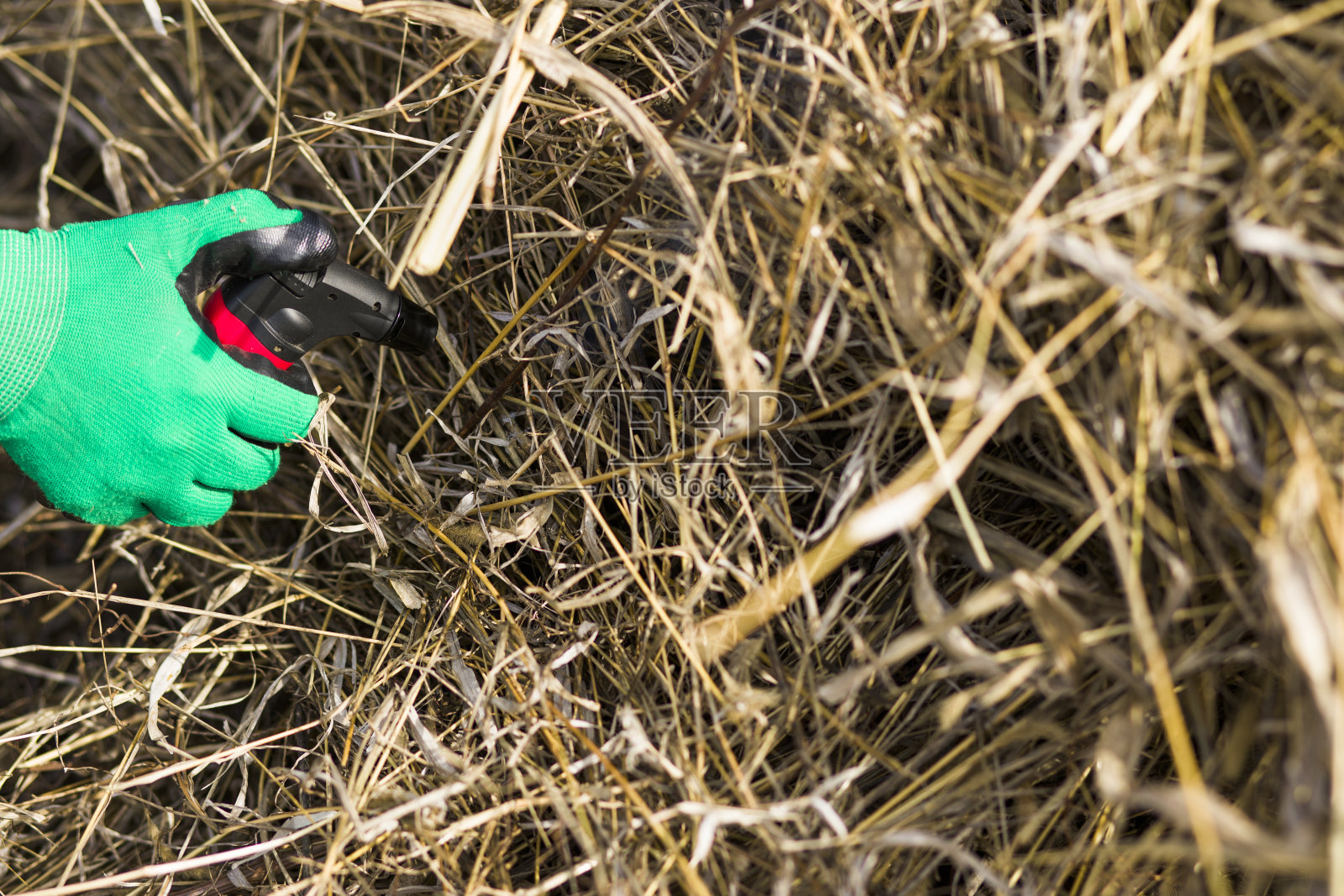 在春天，一个明火的危险在绿色的花园干草。季节性花园的概念照片摄影图片