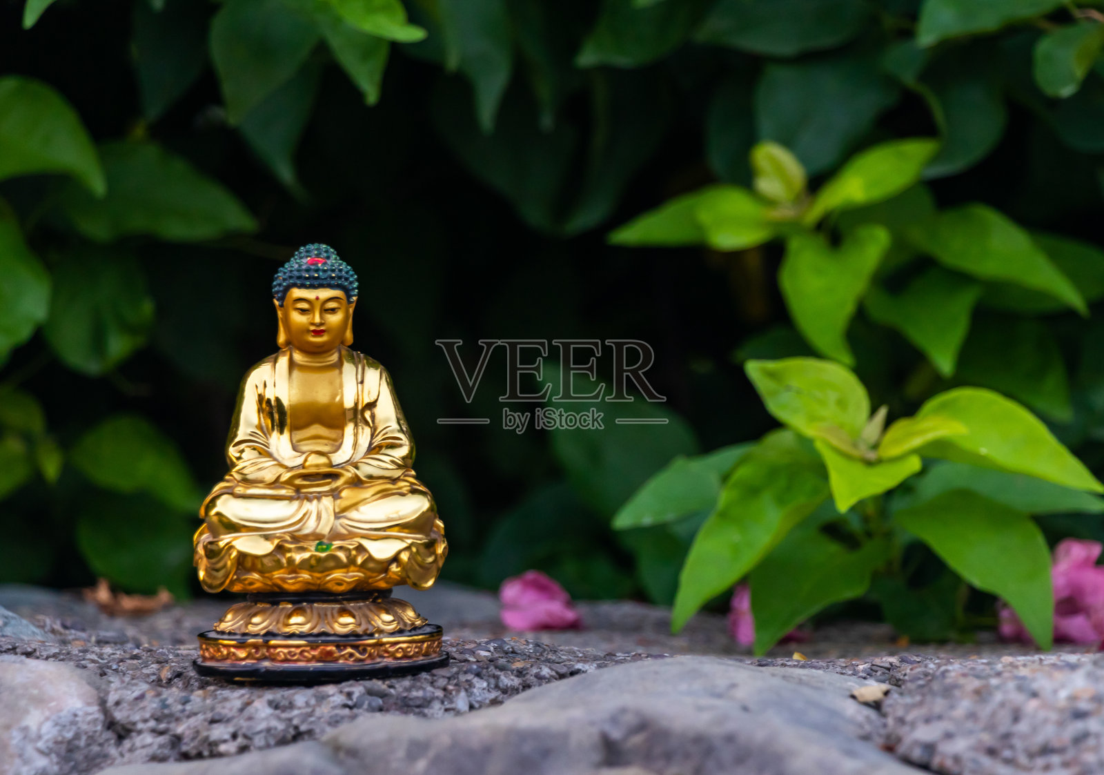 金色佛像正面照，岩石上有绿叶和粉色花朵照片摄影图片