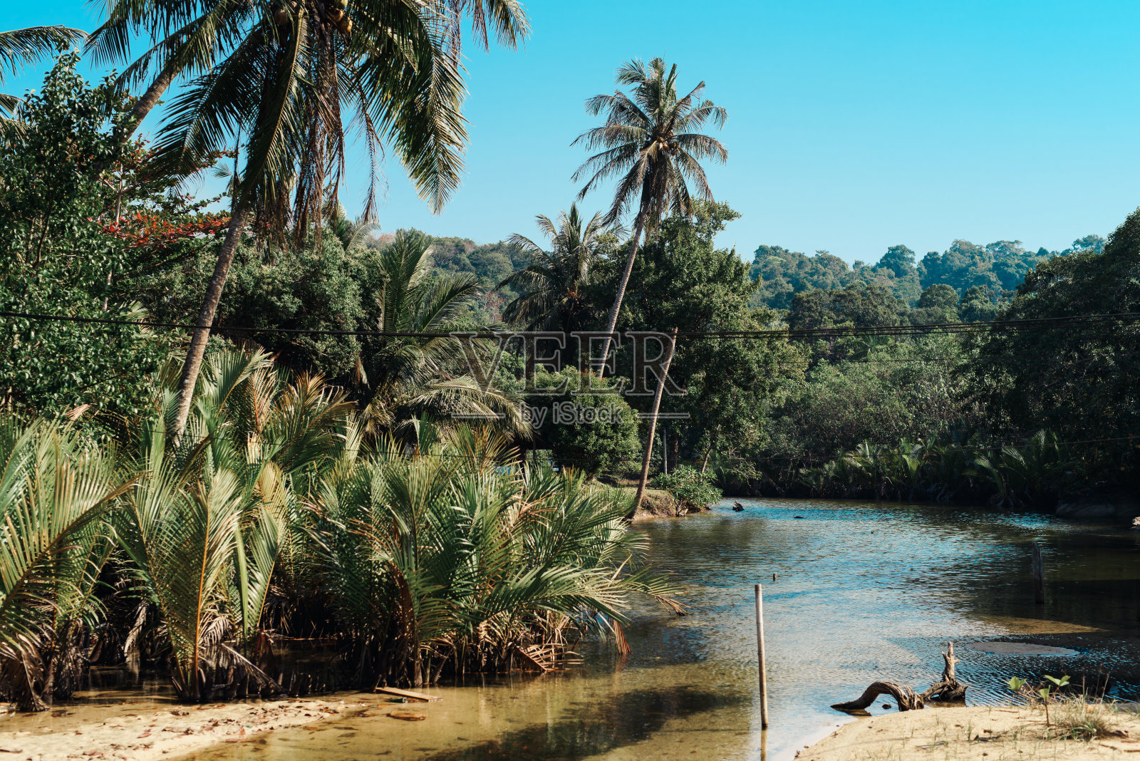 泰国热带岛屿海滩景观与棕榈树。湛蓝的天空映衬着清澈的水。墙纸。假期照片摄影图片